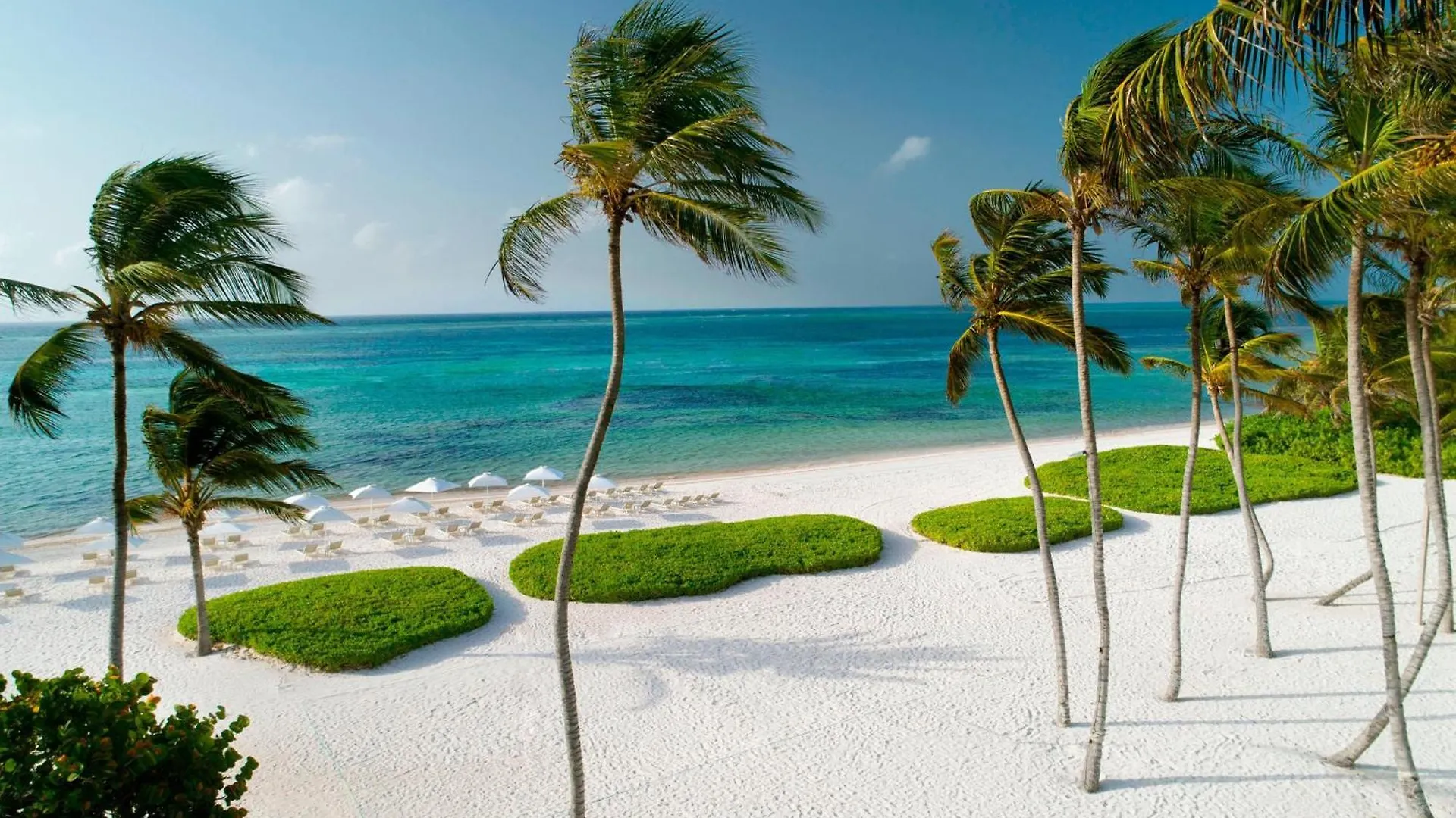 The Westin Puntacana Resort Punta Cana
